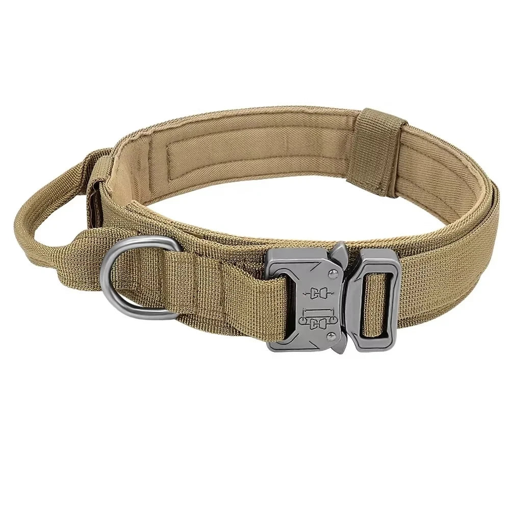 Collier militaire pour chien