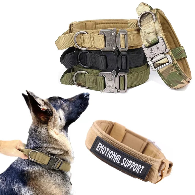 Collier militaire pour chien