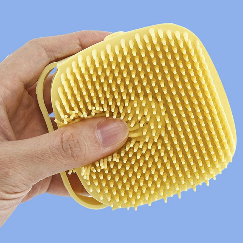 Brosse révolutionnaire