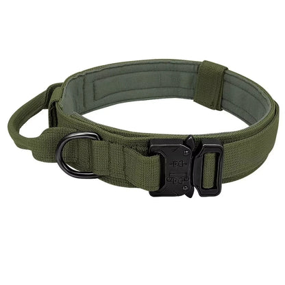 Collier militaire pour chien