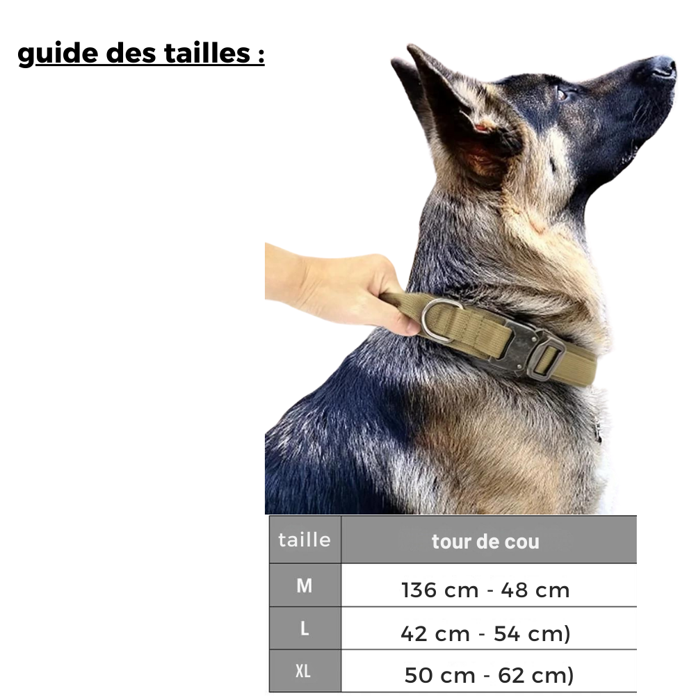 Collier militaire pour chien