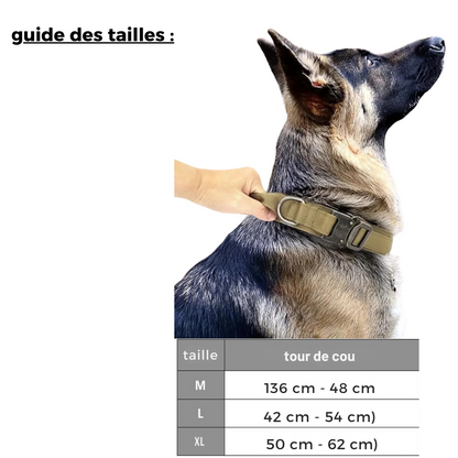 Collier militaire pour chien